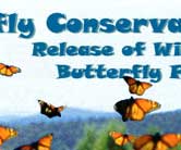 Release of Wings Butterfly Farms
