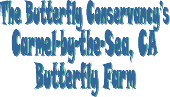 Carmel-by-the-Sea Butterfly Farm